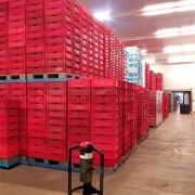 Τελάρο στοιβαζόμενο για κρέας Κόκκινο βάρους 2Kg 60x40x20cm 2129-E2